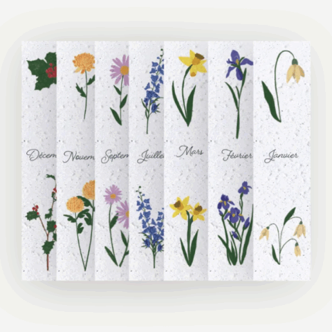 Calendriers marque-page 2026 - Fleurs de naissance