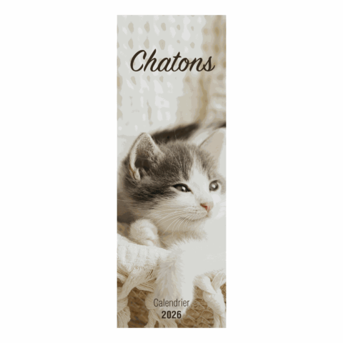 Calendrier "Chatons" 2026