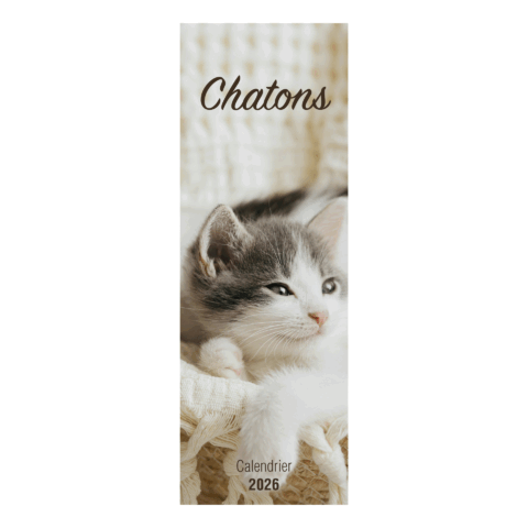 Calendrier Slim chatons - 2026