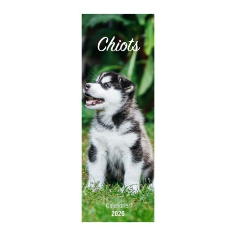Calendriers "Chiots"