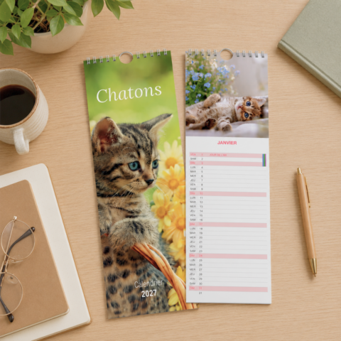 Calendrier long – Chatons 2027